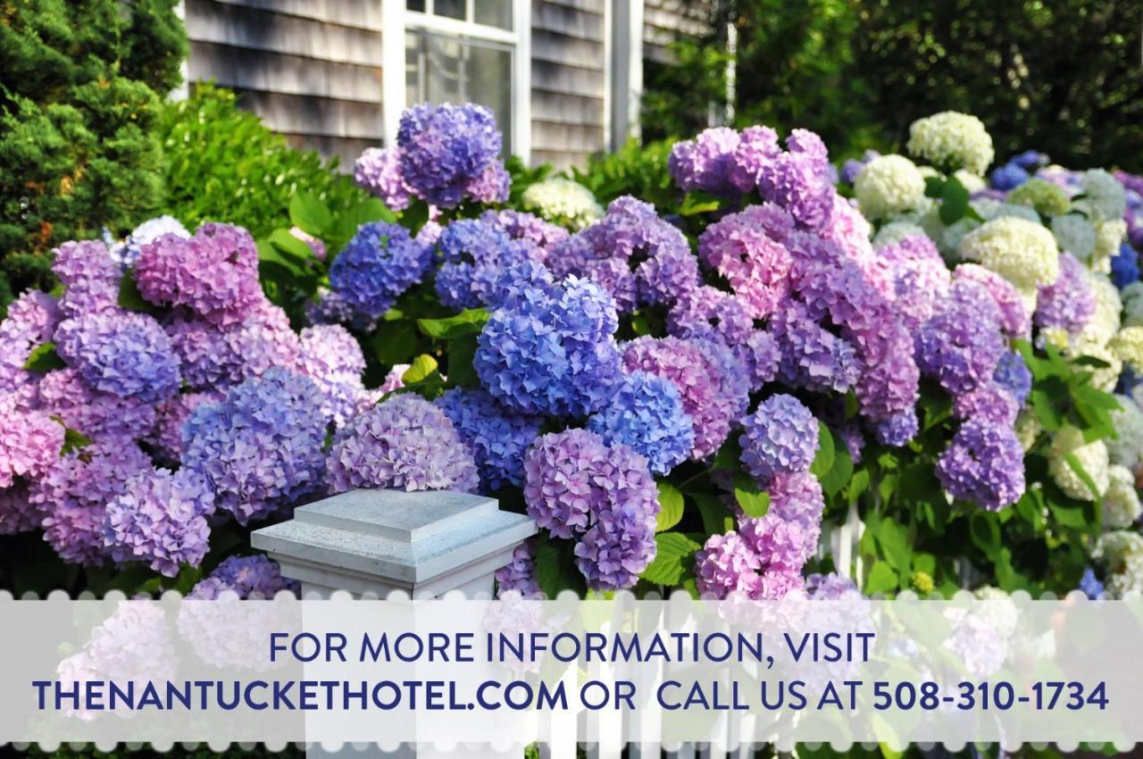 The Nantucket Hotel & Resort Екстериор снимка